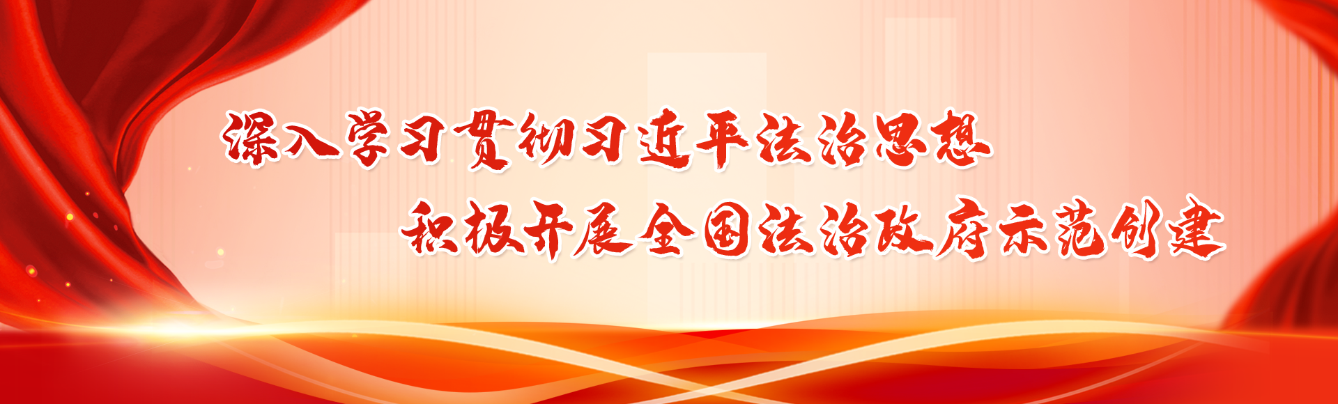 法治政府建設