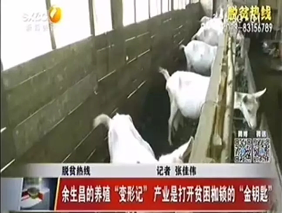 640.webp.jpg 640.webp.jpg