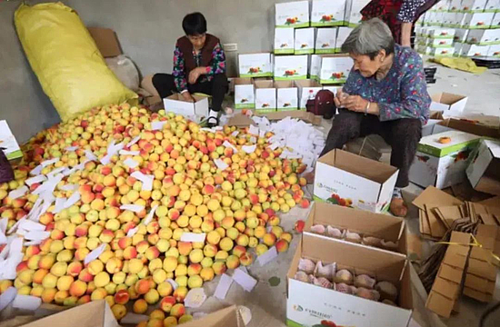 微信圖片_20200602151745.jpg 微信圖片_20200602151745.jpg