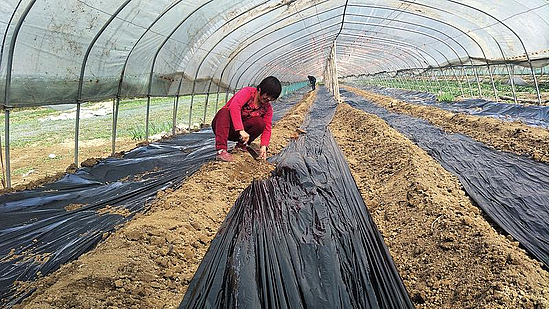 微信圖片_20200424104242.jpg 微信圖片_20200424104242.jpg