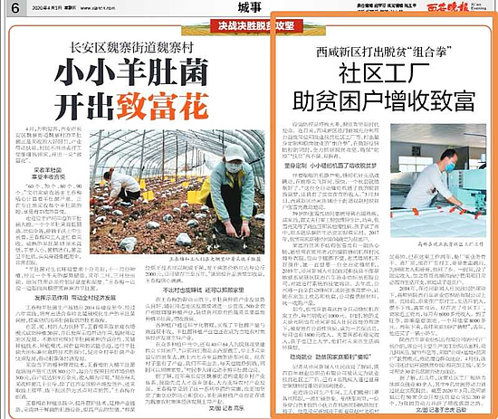 微信圖片_20200403100156.jpg 微信圖片_20200403100156.jpg