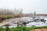 卻看渭河舞翩躚