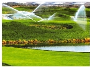 西安日報：西咸新區秦漢新城 高質量推進河湖長制落地實施