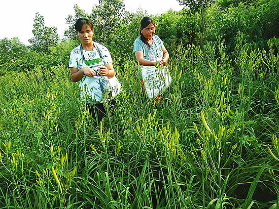 微信圖片_20200622092146.jpg 微信圖片_20200622092146.jpg