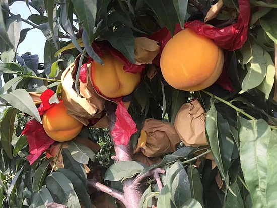 微信圖片_20200622093158.jpg 微信圖片_20200622093158.jpg