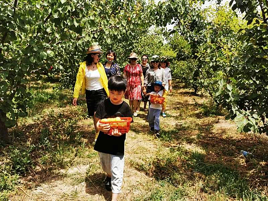 微信圖片_20200622093430.jpg 微信圖片_20200622093430.jpg