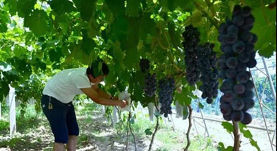 微信圖片_20200622093331.jpg 微信圖片_20200622093331.jpg