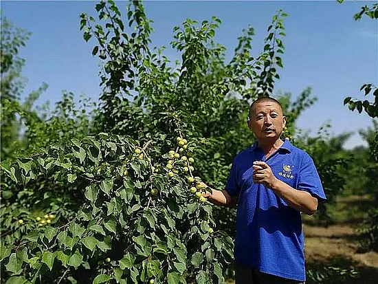 微信圖片_20200622093115.jpg 微信圖片_20200622093115.jpg