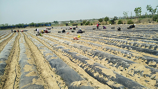 微信圖片_20200514094749.jpg 微信圖片_20200514094749.jpg