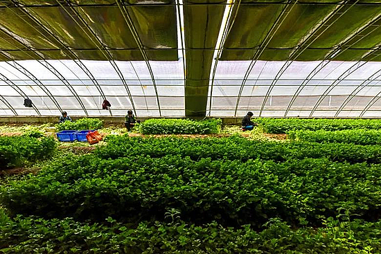 微信圖片_20200211155257.jpg 微信圖片_20200211155257.jpg