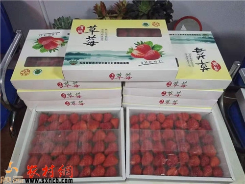 微信圖片_20191225154830.jpg 微信圖片_20191225154830.jpg