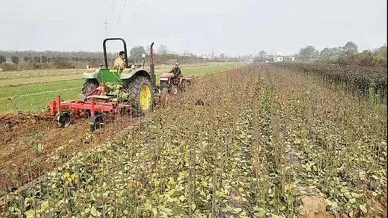 微信圖片_20191216100432.jpg 微信圖片_20191216100432.jpg