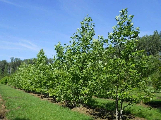 微信圖片_20191211112510.jpg 微信圖片_20191211112510.jpg