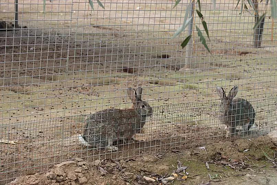 微信圖片_20191211112447.jpg 微信圖片_20191211112447.jpg