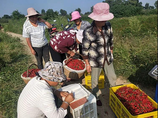 微信圖片_20191008144215.jpg 微信圖片_20191008144215.jpg