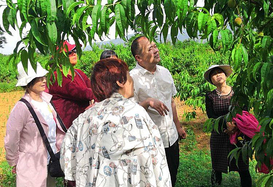 微信圖片_20190702163354.jpg 微信圖片_20190702163354.jpg