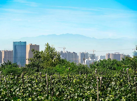 微信圖片_20200103170725.jpg 微信圖片_20200103170725.jpg