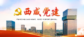 西咸黨建
