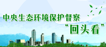 中央生態環境保護督察“回頭看”