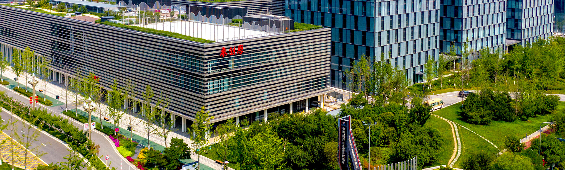 秦原創(chuàng)頭部大圖