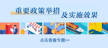 重要政策舉措及實(shí)施效果