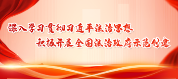 法治政府建設(shè)