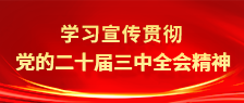 學(xué)習(xí)宣傳貫徹黨的二十屆三中全會